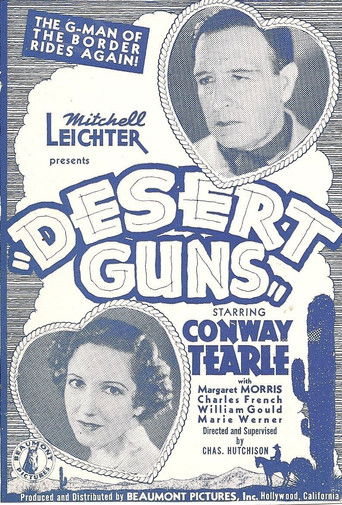Desert Guns poster