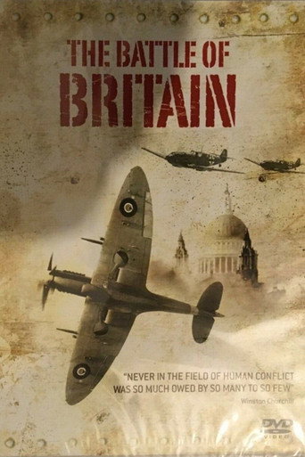 Movie poster for The Battle of Britain (2013)