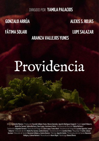 Movie poster for Providence (2025)