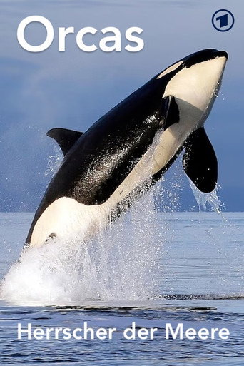 Movie poster for Orcas - Herrscher der Meere (2024)