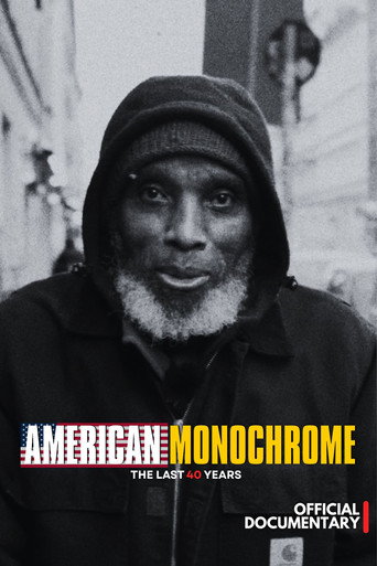 Movie poster for American Monochrome (2022)