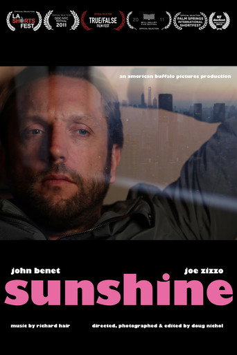 Movie poster for Sunshine (2011)