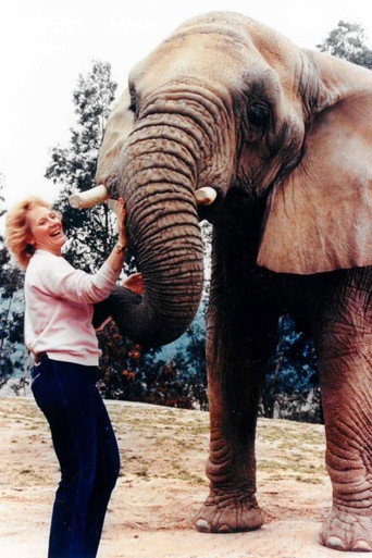 Movie poster for I Talk to Animals (1990)
