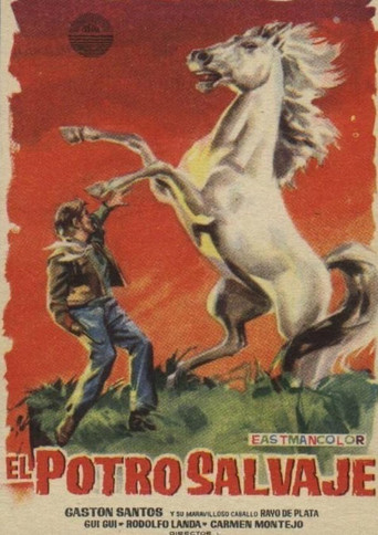 Movie poster for El potro salvaje (1958)