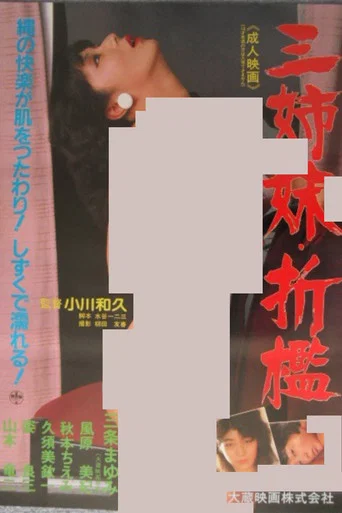 Movie poster for Three Sisters Punishment (1985)