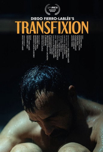 Movie poster for Transfixion