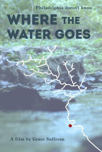 Movie poster for Where the Water Goes