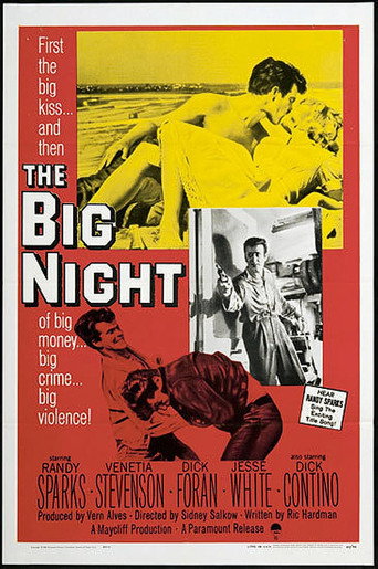 The Big Night poster