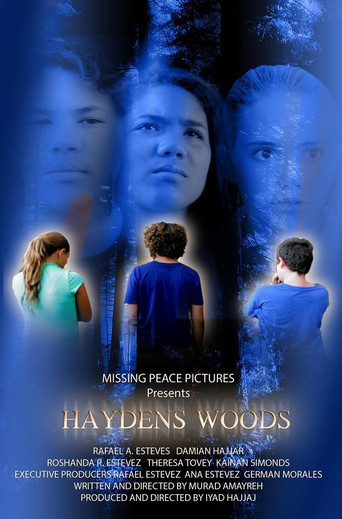 Movie poster for Haydens Woods (2016)