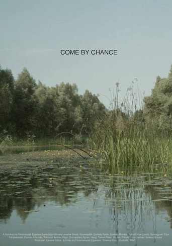 Movie poster for Come by Chance (2017)