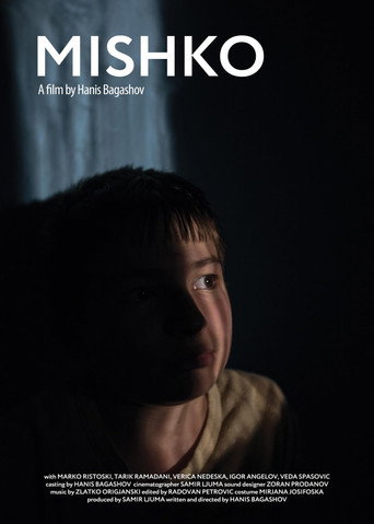 Movie poster for Mishko (2018)