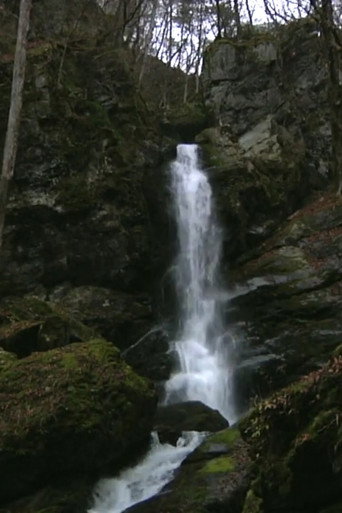 Movie poster for Falling Water, Scattered Scenery (2010)
