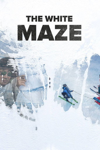 Movie poster for The White Maze: There Is Always a Way (2016)