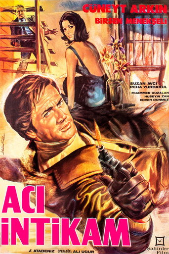 Movie poster for Acı İntikam (1968)