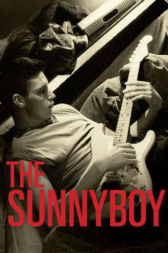 Movie poster for The Sunnyboy (2013)