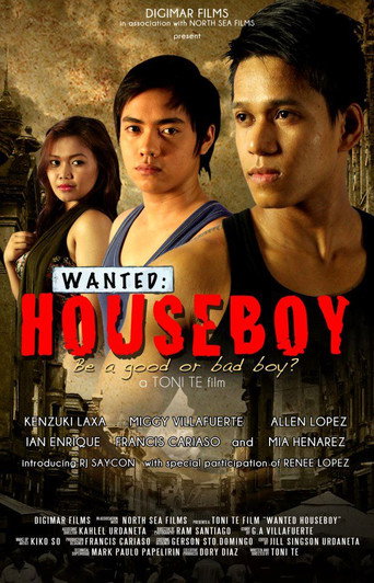 Movie poster for Wanted: Houseboy (2013)