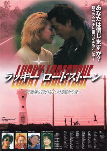 Lucky Lodestone poster