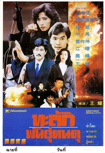 Movie poster for Raiders of Losing Treasure (1992)