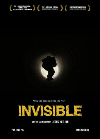 Movie poster for Invisible (2024)