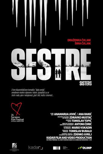Movie poster for Sisters (2018)
