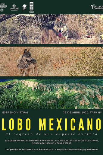 Movie poster for Lobo Mexicano (2020)