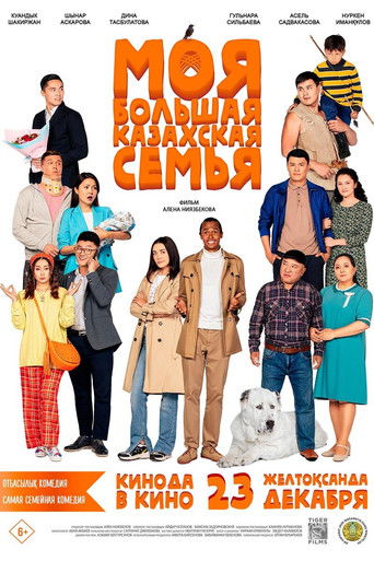 My Big Kazakh Family poster