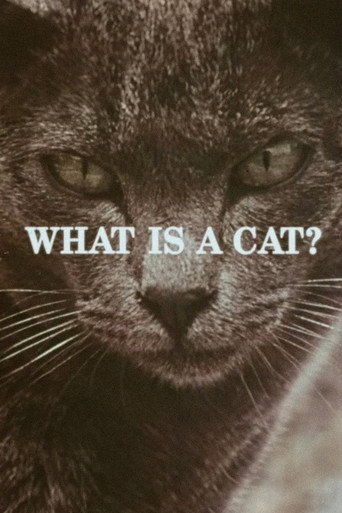 Movie poster for What Is a Cat? (1972)