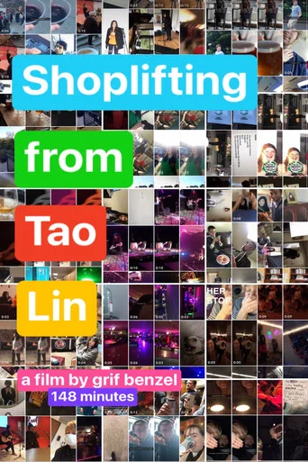 Movie poster for Shoplifting from Tao Lin (2023)
