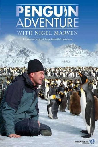 Penguin Adventure with Nigel Marven poster