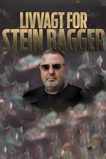 Livvagt for Stein Bagger poster