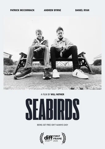 Movie poster for Seabirds (2025)