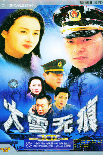 大雪无痕 poster