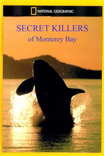 Movie poster for Secret Killers of Monterey Bay (2002)