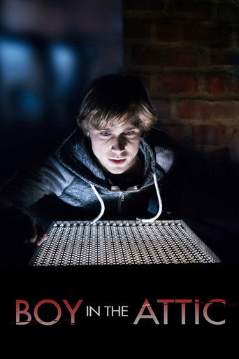 Secrets in the Attic poster