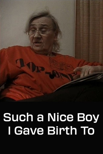 Movie poster for Such a Nice Boy I Gave Birth To (2000)