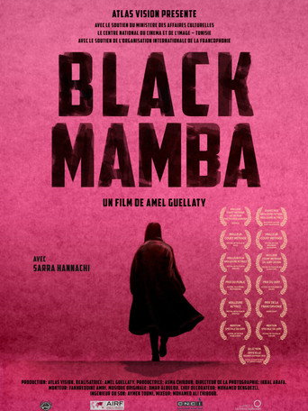 Movie poster for Black Mamba (2017)