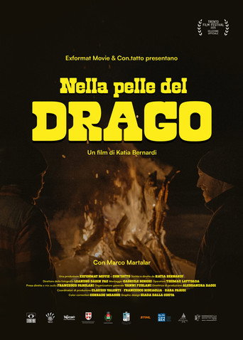 Movie poster for Nella Pelle del Drago