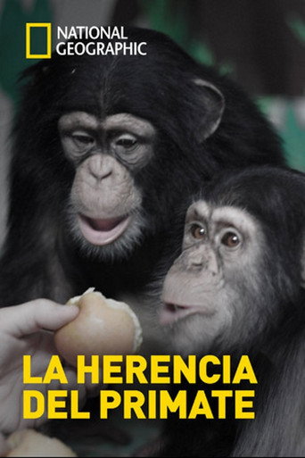 Movie poster for The Human Ape (2009)