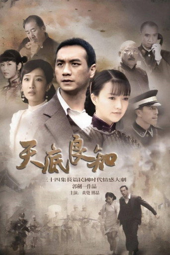 天底良知 poster