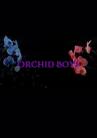 Movie poster for Orchid Boys (2017)