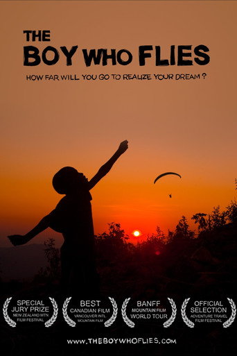 Movie poster for The Boy Who Flies (2013)