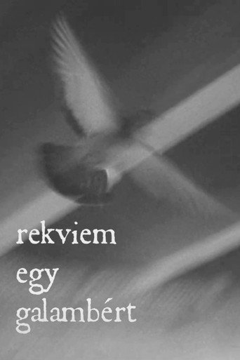 Movie poster for Rekviem egy galambért (2020)