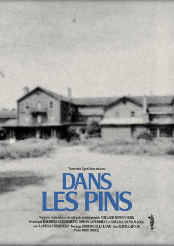 Movie poster for Among the Pines