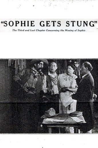 Movie poster for Sophie Gets Stung (1914)