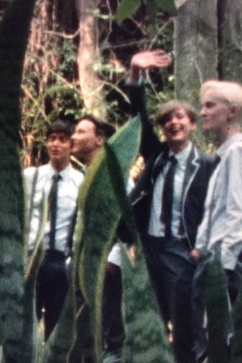 Next to the volcano poster