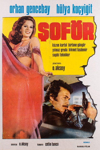 Movie poster for Şoför (1976)