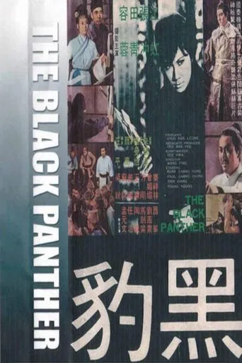 Movie poster for The Black Panther (1969)