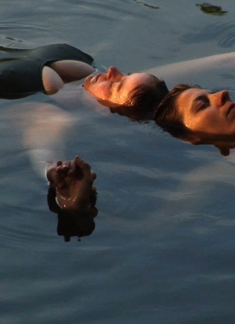 Movie poster for Deliver (2008)