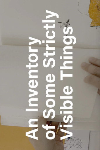 Movie poster for An Inventory of Some Strictly Visible Things (2017)