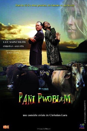 Movie poster for Pani pwoblem (2012)